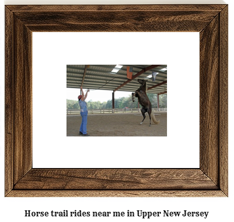 horse trail rides near me in Upper, New Jersey